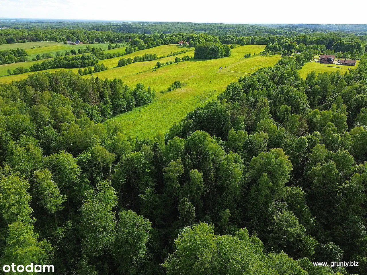 Оазис на холмах Дылевске