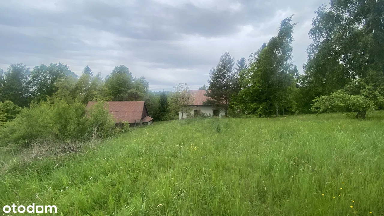 Выжники. Живописный участок для застройщика или для виллы.