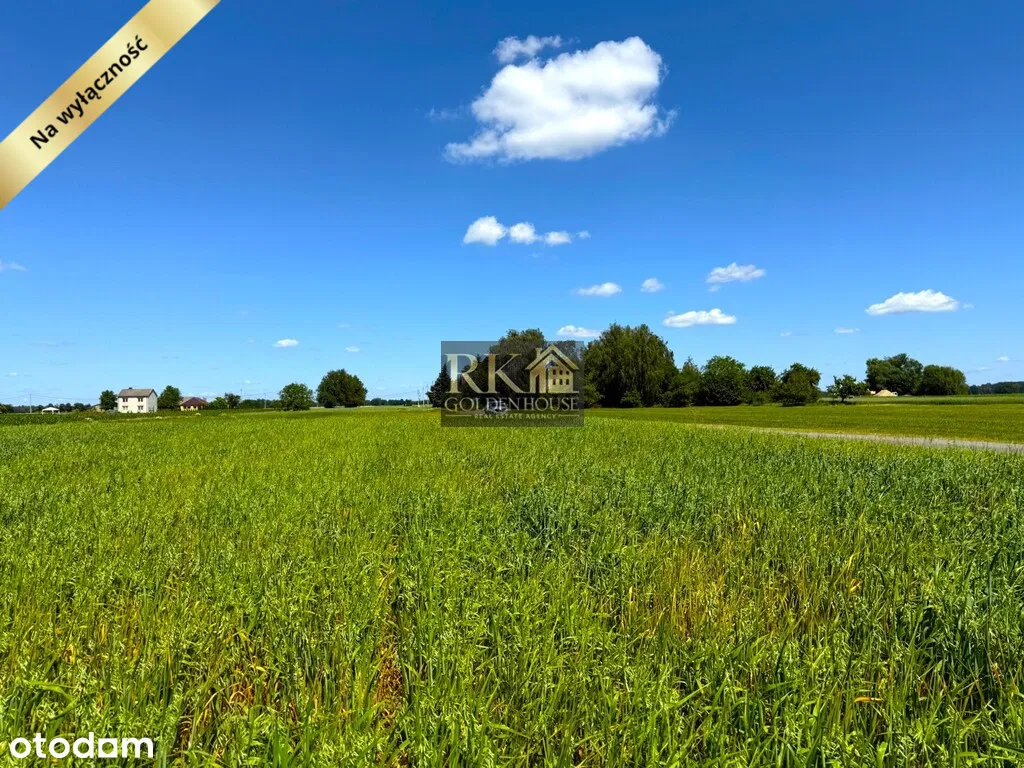 Простор и покой в одном — большой участок для продажи