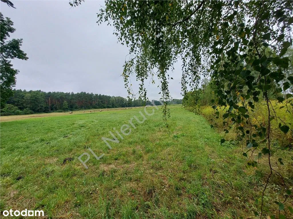 Река, Лес и Она: Красивый сельскохозяйственный участок