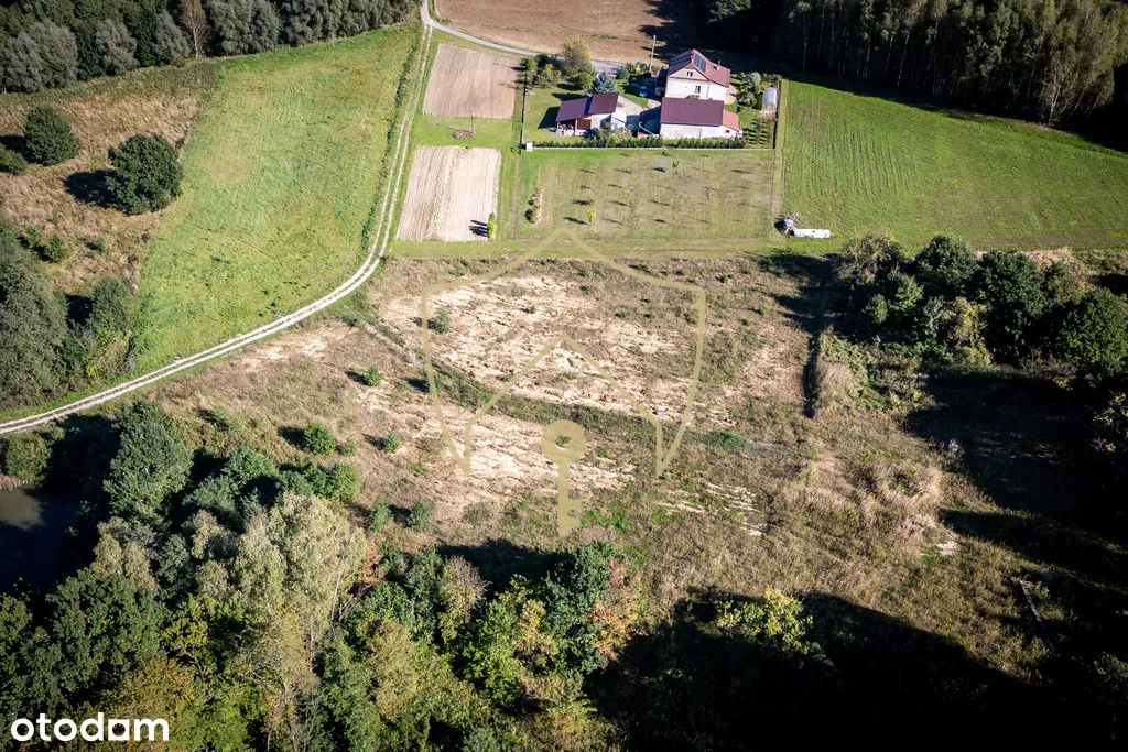 Живописный участок, Вызне